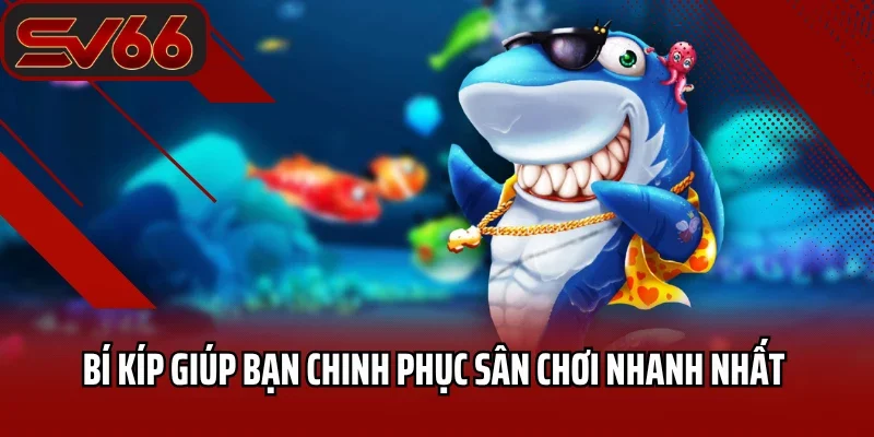 Bí kíp giúp bạn chinh phục sân chơi nhanh nhất 