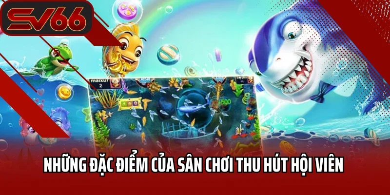 Những đặc điểm của sân chơi thu hút hội viên 